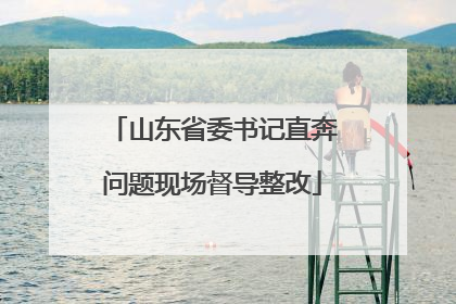 山东省委书记直奔问题现场督导整改