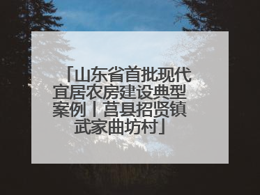 山东省首批现代宜居农房建设典型案例丨莒县招贤镇武家曲坊村