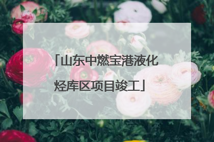 山东中燃宝港液化烃库区项目竣工