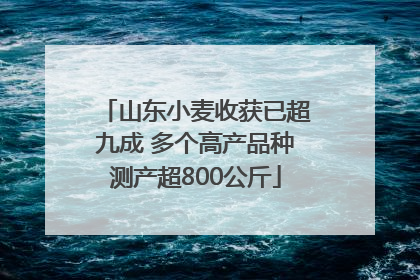 山东小麦收获已超九成 多个高产品种测产超800公斤
