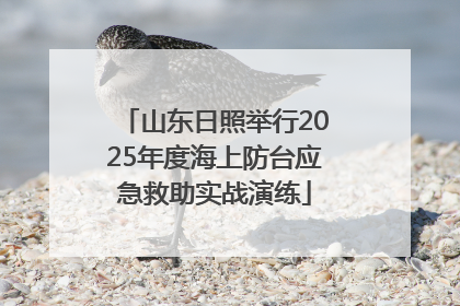 山东日照举行2025年度海上防台应急救助实战演练