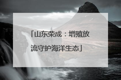 山东荣成：增殖放流守护海洋生态