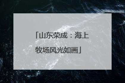 山东荣成：海上牧场风光如画