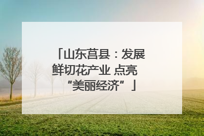 山东莒县：发展鲜切花产业 点亮“美丽经济”