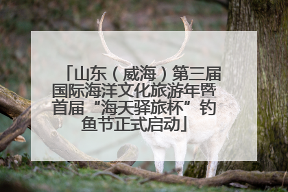 山东（威海）第三届国际海洋文化旅游年暨首届“海天驿旅杯”钓鱼节正式启动