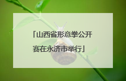 山西省形意拳公开赛在永济市举行