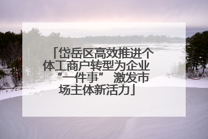 岱岳区高效推进个体工商户转型为企业“一件事” 激发市场主体新活力