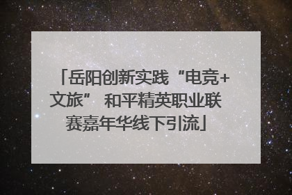 岳阳创新实践“电竞+文旅” 和平精英职业联赛嘉年华线下引流