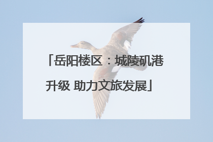 岳阳楼区：城陵矶港升级 助力文旅发展