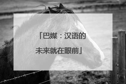 巴媒：汉语的未来就在眼前