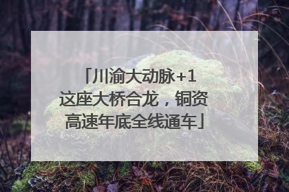 川渝大动脉+1 这座大桥合龙，铜资高速年底全线通车