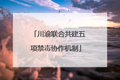 川渝联合共建五项禁毒协作机制