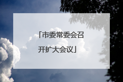 市委常委会召开扩大会议