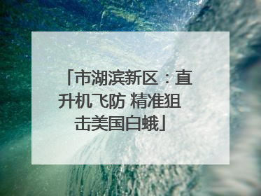 市湖滨新区：直升机飞防 精准狙击美国白蛾