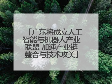广东将成立人工智能与机器人产业联盟 加速产业链整合与技术攻关