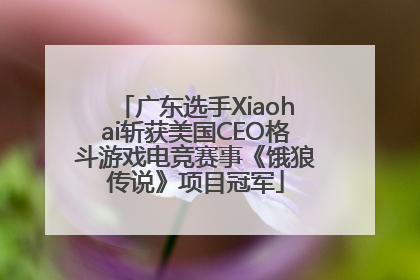 广东选手Xiaohai斩获美国CEO格斗游戏电竞赛事《饿狼传说》项目冠军