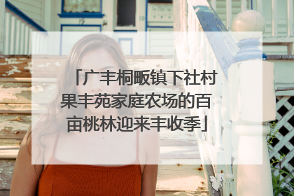 广丰桐畈镇下社村果丰苑家庭农场的百亩桃林迎来丰收季