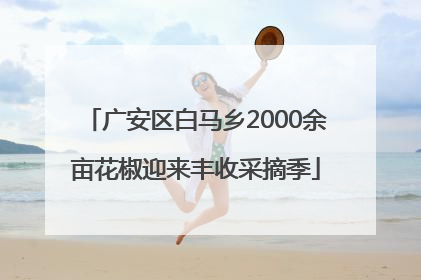 广安区白马乡2000余亩花椒迎来丰收采摘季