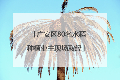 广安区80名水稻种植业主现场取经