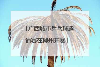 广西城市乒乓球邀请赛在柳州开赛