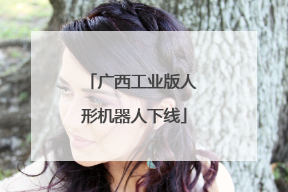 广西工业版人形机器人下线