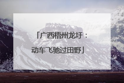 广西梧州龙圩：动车飞驰过田野