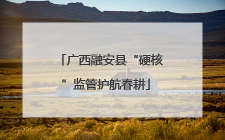 广西融安县“硬核”监管护航春耕