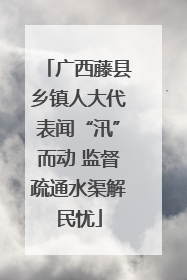 广西藤县乡镇人大代表闻“汛”而动 监督疏通水渠解民忧