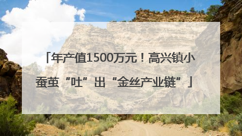 年产值1500万元！高兴镇小蚕茧“吐”出“金丝产业链”