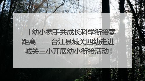 幼小携手共成长科学衔接零距离——台江县城关四幼走进城关三小开展幼小衔接活动