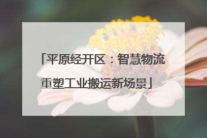 平原经开区：智慧物流重塑工业搬运新场景