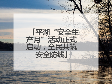 平湖“安全生产月”活动正式启动，全民共筑安全防线