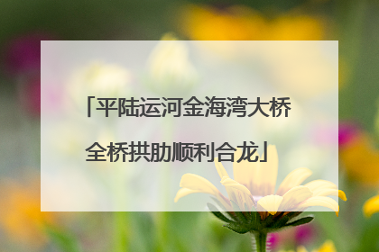 平陆运河金海湾大桥全桥拱肋顺利合龙