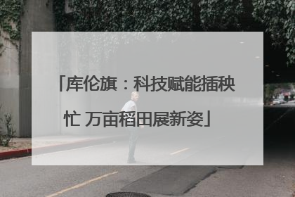 库伦旗：科技赋能插秧忙 万亩稻田展新姿