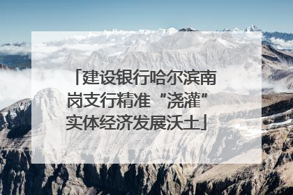 建设银行哈尔滨南岗支行精准“浇灌”实体经济发展沃土