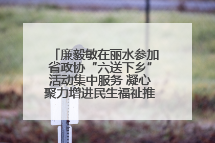 廉毅敏在丽水参加省政协“六送下乡”活动集中服务 凝心聚力增进民生福祉推进共同富裕
