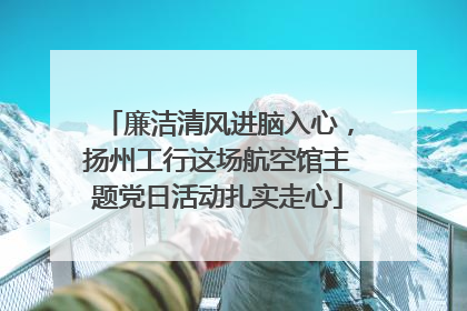 廉洁清风进脑入心，扬州工行这场航空馆主题党日活动扎实走心