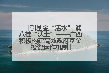 引基金“活水” 润八桂“沃土”——广西积极构建高效政府基金投资运作机制