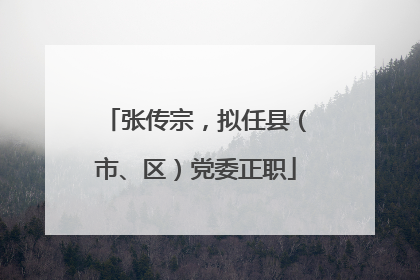 张传宗，拟任县（市、区）党委正职