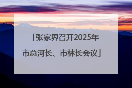 张家界召开2025年市总河长、市林长会议