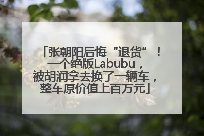 张朝阳后悔“退货”！一个绝版Labubu，被胡润拿去换了一辆车，整车原价值上百万元
