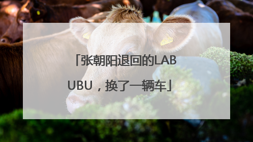 张朝阳退回的LABUBU，换了一辆车