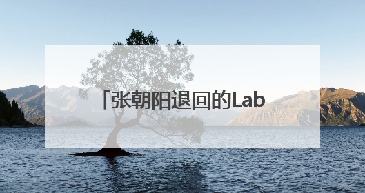 张朝阳退回的Labubu，换了一辆车