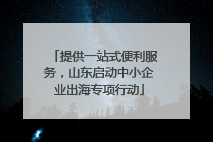 提供一站式便利服务,山东启动中小企业出海专项行动
