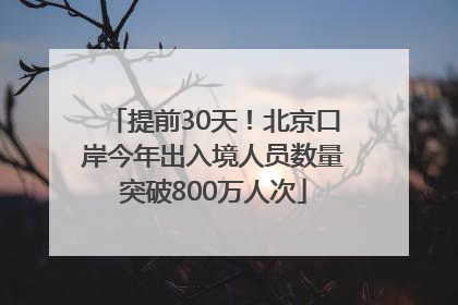 提前30天！北京口岸今年出入境人员数量突破800万人次
