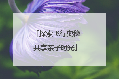 探索飞行奥秘 共享亲子时光