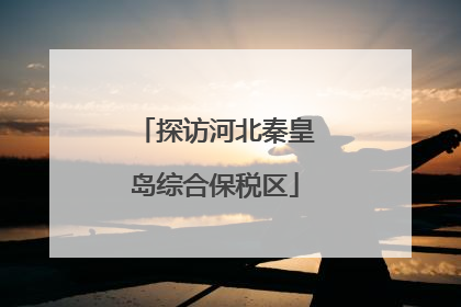 探访河北秦皇岛综合保税区