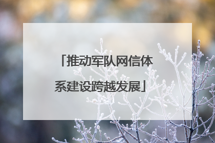 推动军队网信体系建设跨越发展