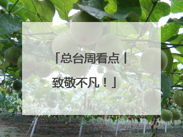 总台周看点丨致敬不凡！