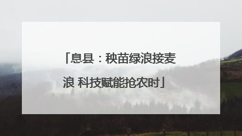 息县：秧苗绿浪接麦浪 科技赋能抢农时